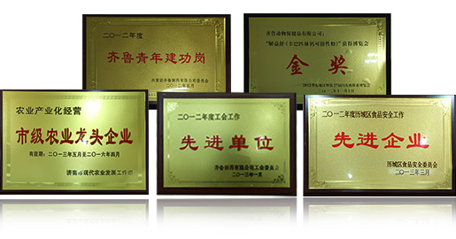 創(chuàng)新平臺